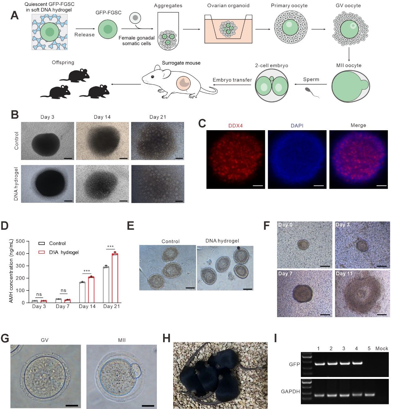 20250723-12.jpg 20250723-12.jpg